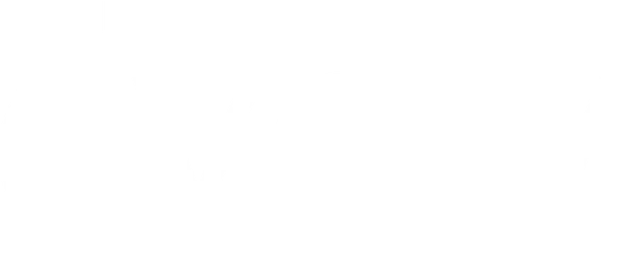 Wordmark · Light logo
